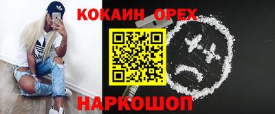 крисы Кунгур