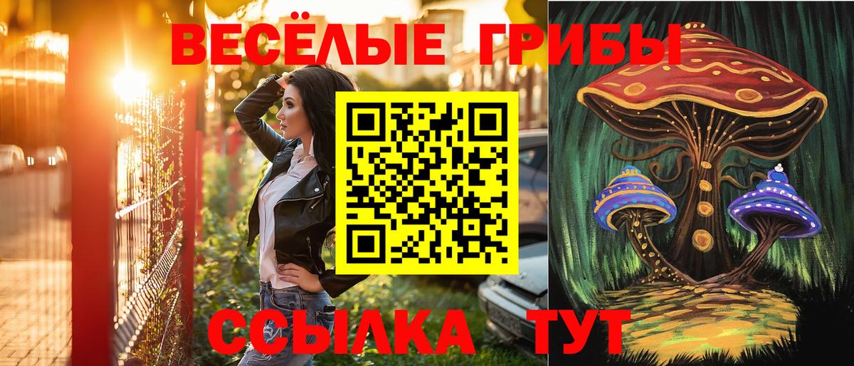 Бугуруслан  Псилоцибиновые грибы Cubensis  Псилоцибиновые грибы мицелий  Вход с VPN 