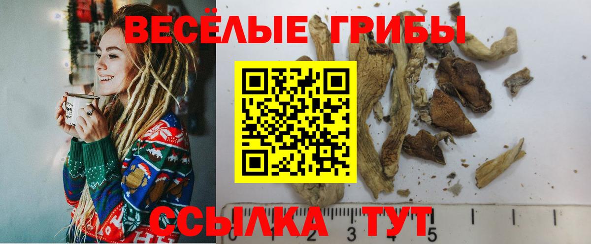 Галлюциногенные грибы мухоморы Бугуруслан